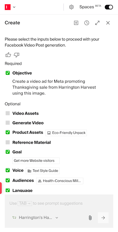 Video_agent_asking_for_details_47415c69c4.png