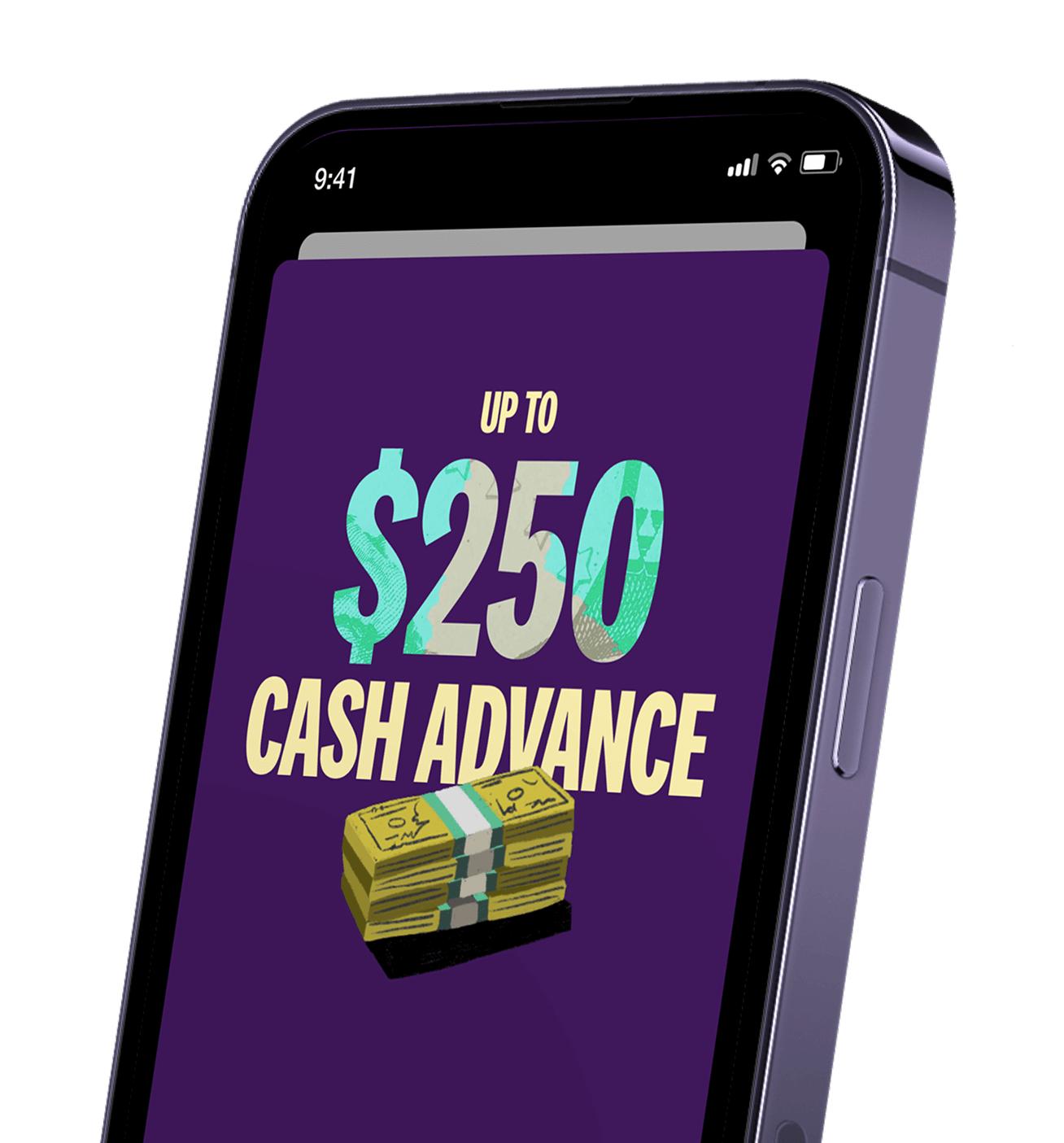 250 Cash Advance