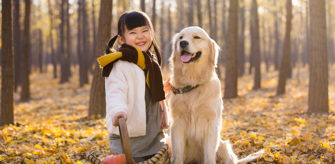 Best Flooring for Kids and Dogs