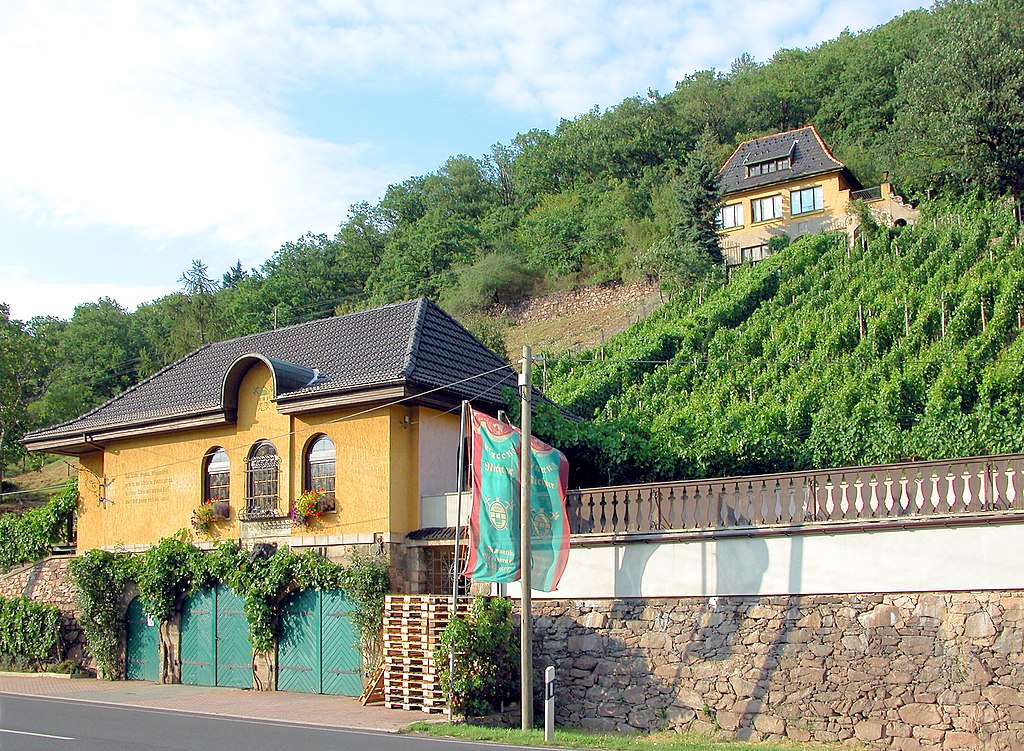 Meißen-Oberspaar: Weingut 