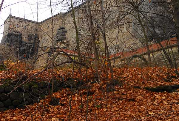 aufstieg-zur-festung-koenigstein