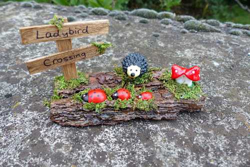 Ladybird Crossing