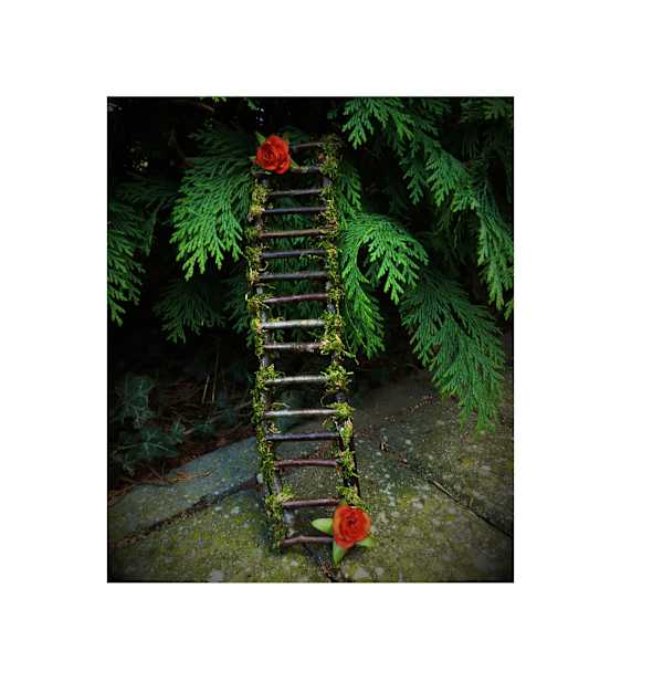 Miniature Fairy Garden Ladder