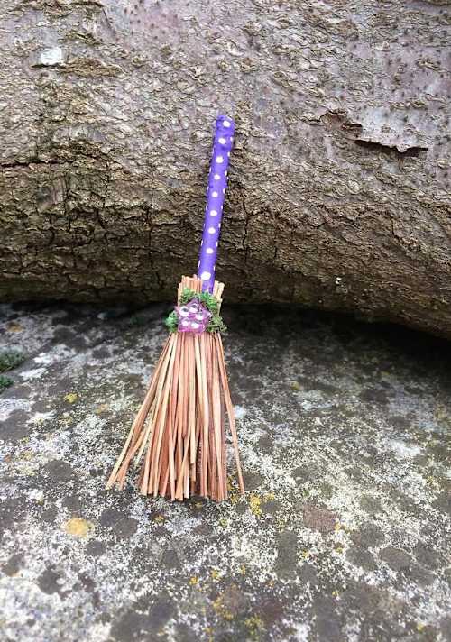 Purple Spotty Broom