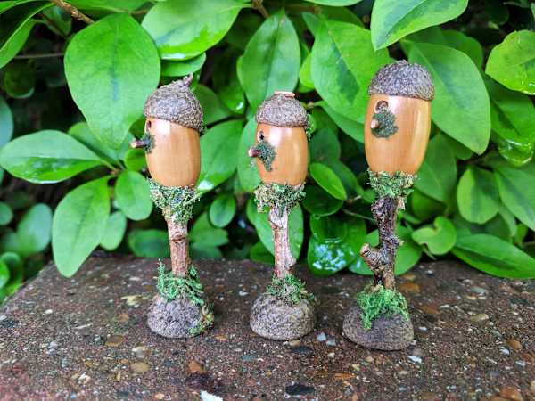 Fairy Garden Accessories