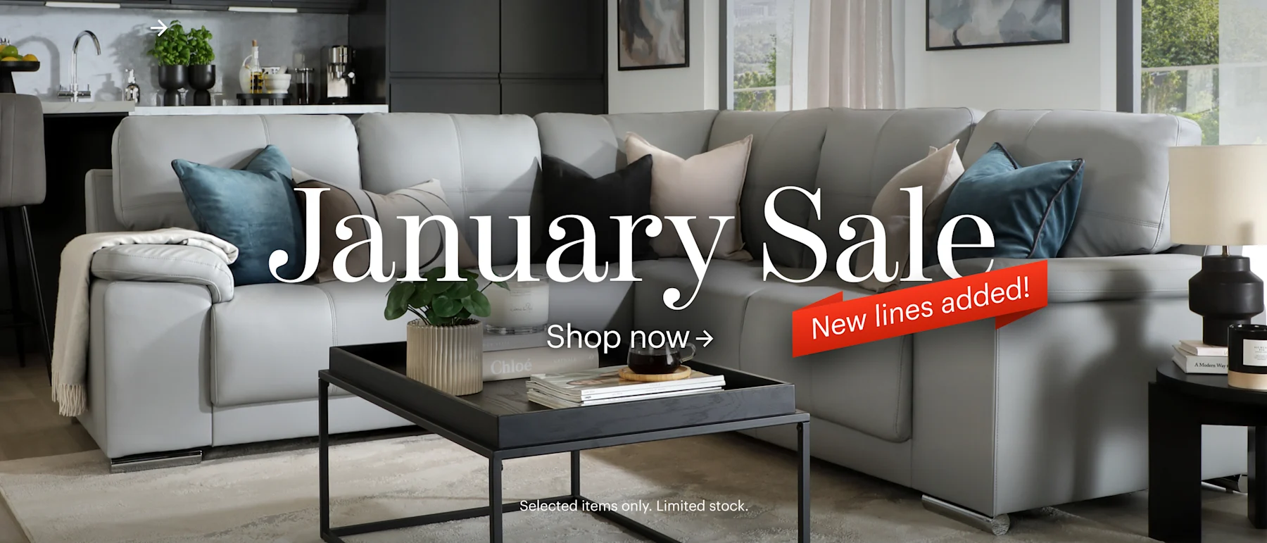 January Sale 2026