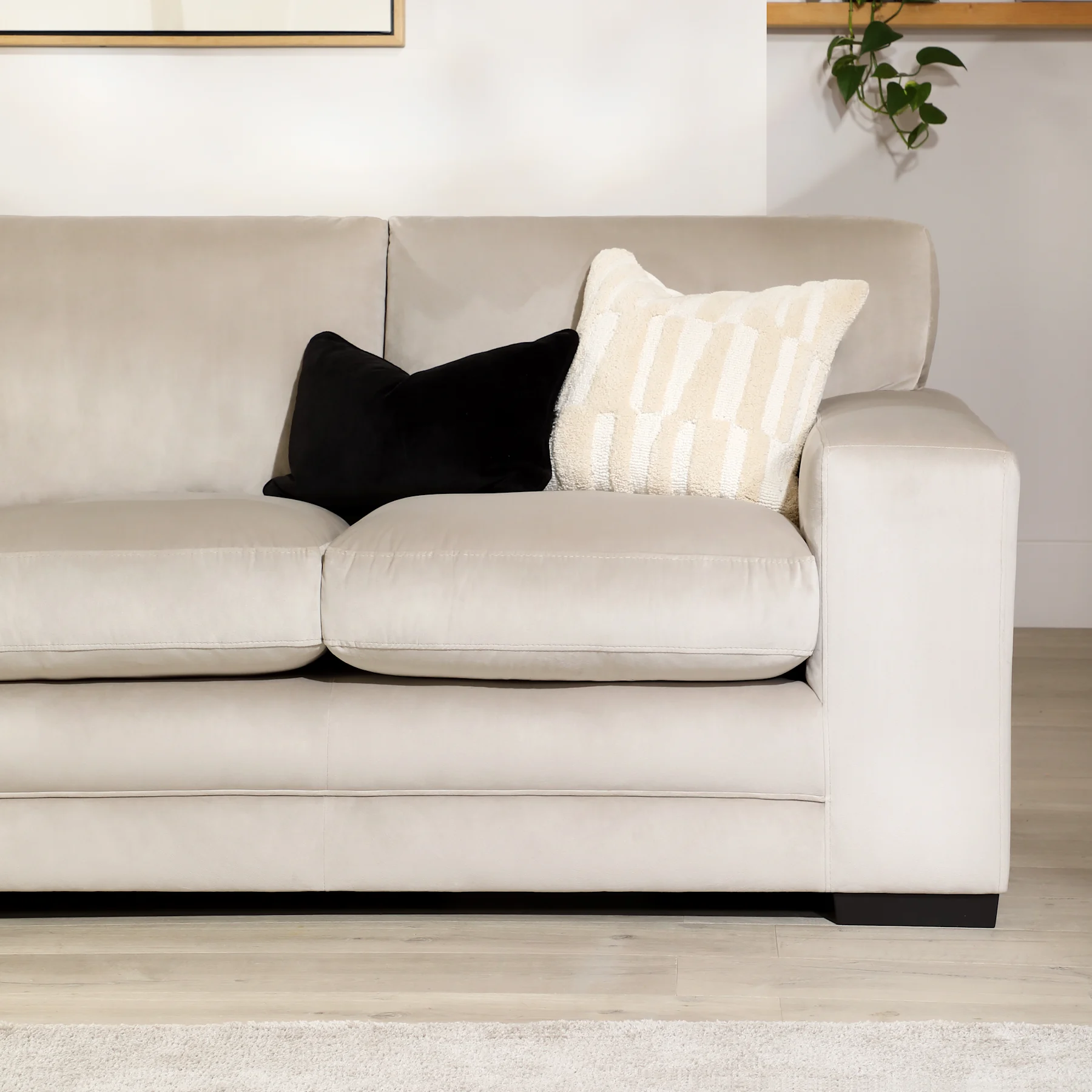 product-main--FS10004255-03