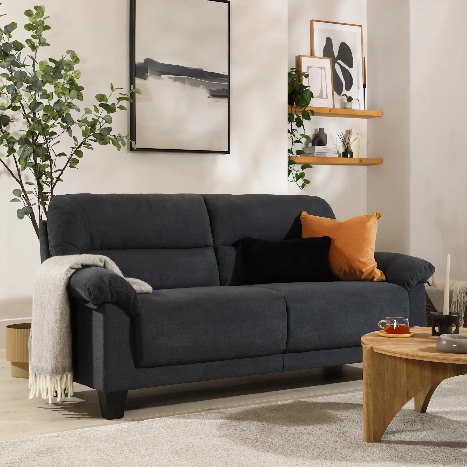 product-main--FS10003548