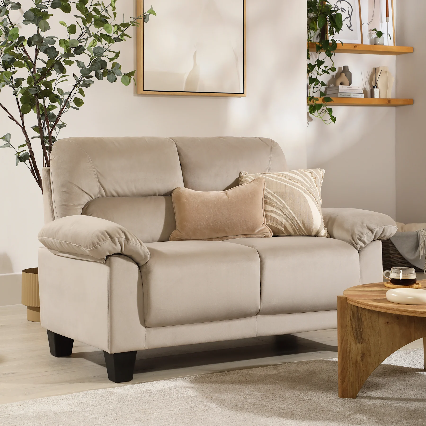 Austin Small 2 Seater Sofa, Champagne Classic Velvet