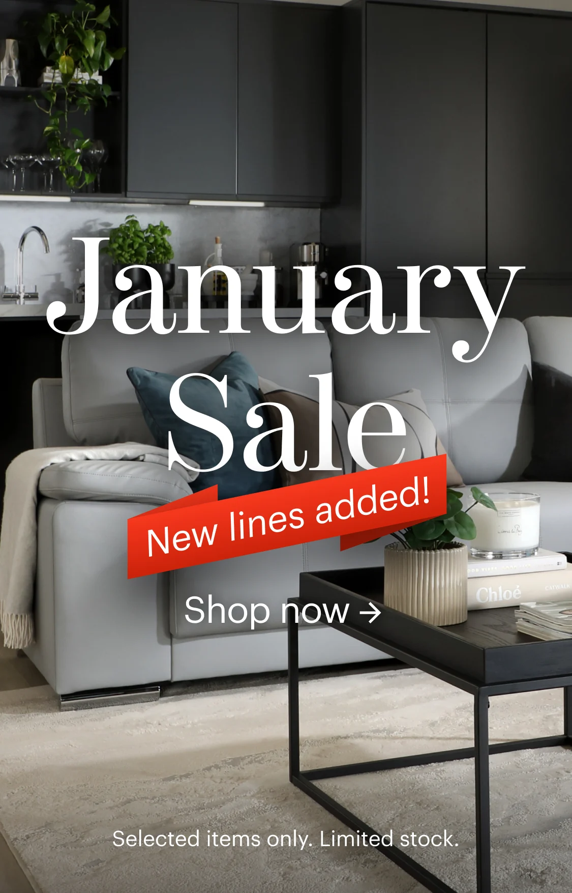 January Sale 2026