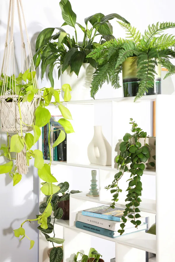 thumb-indoor-garden-ideas-600x900