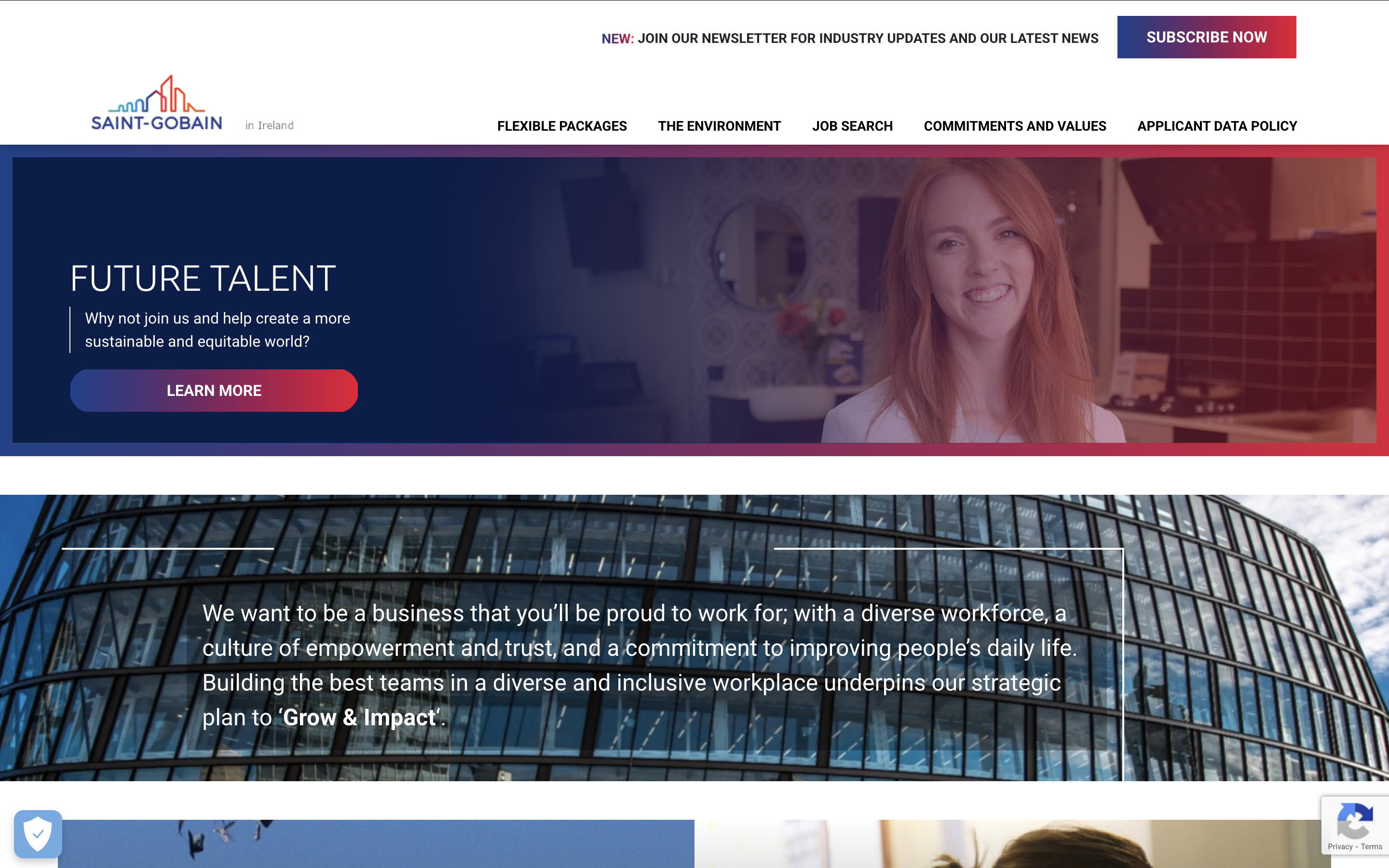 Screenshot of Saint Gobain IE Careers