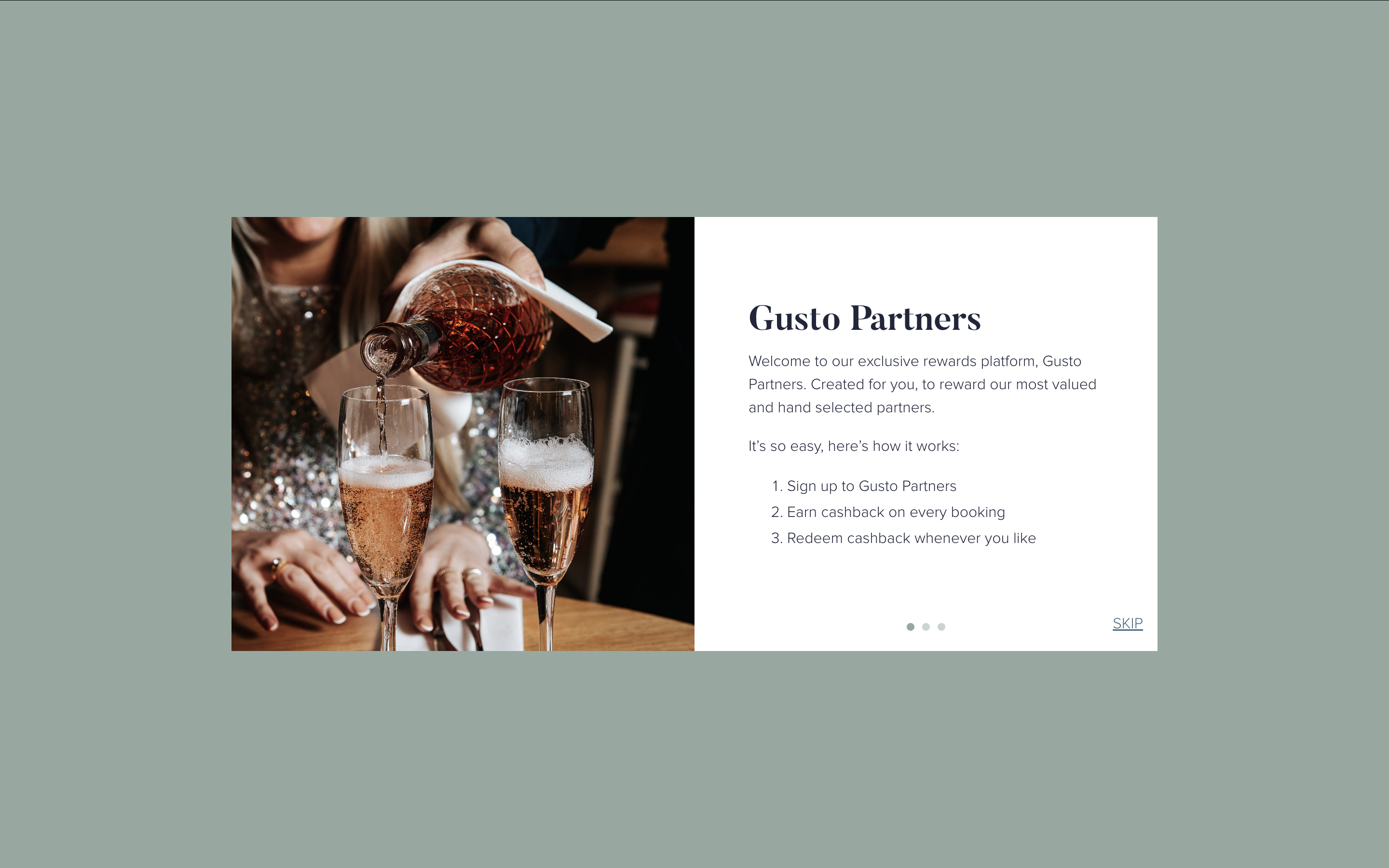 Screenshot of Gusto Partners Portal