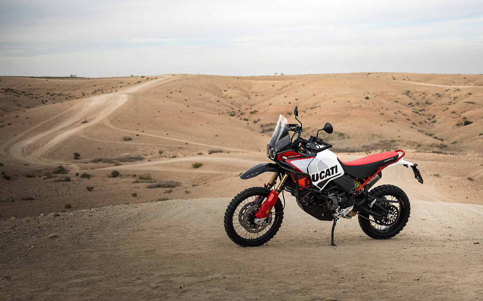Ducati DesertX Rally: prova e recensioni della stampa