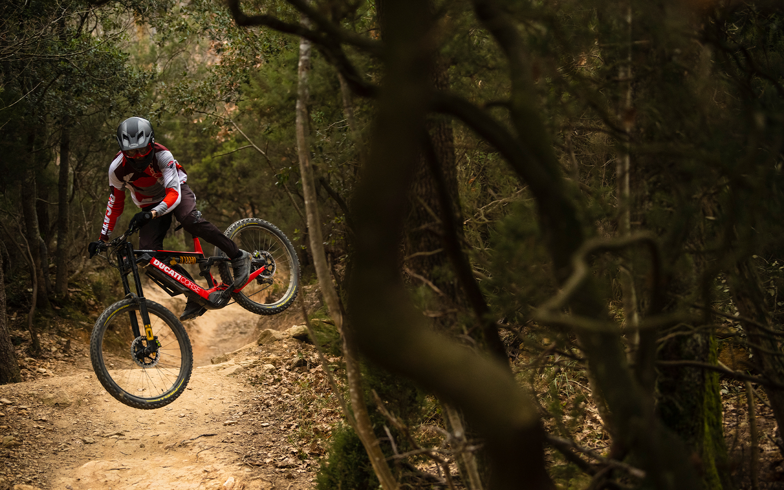 E-Bike Ducati model range