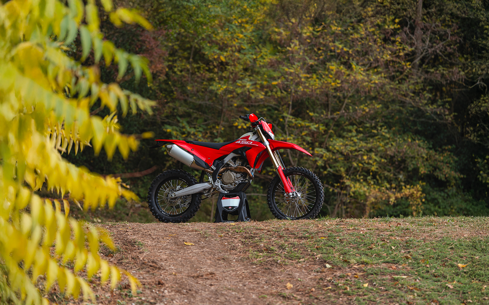 Ducati Desmo 450 Enduro EDS 2026: stay up to date