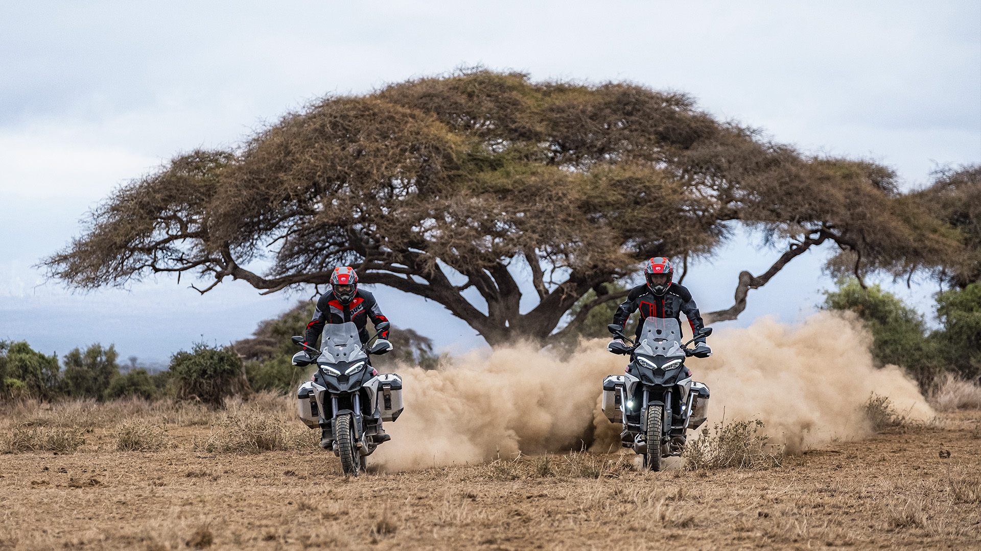 New Multistrada V4 Rally - Unlock Earth