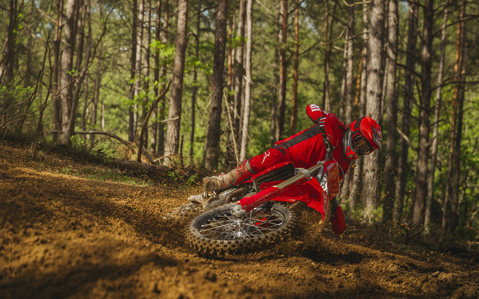 Ducati - Discover the new bikes