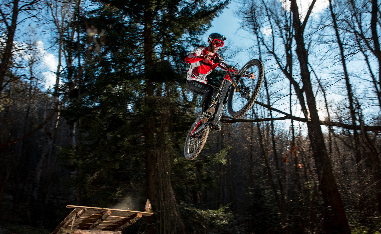 自転車　ドカティバージョン E-Bike Ducati model range