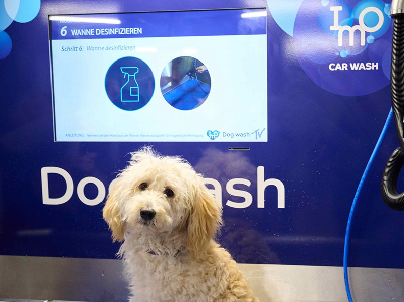 Love your canine companion at IMO dog washes in UK and Germany