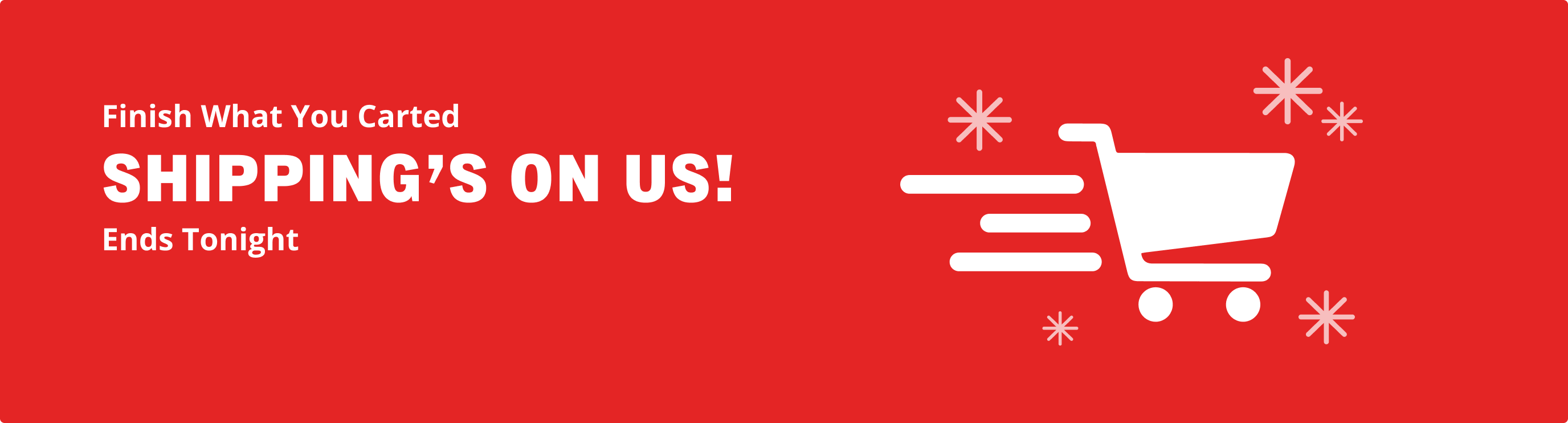 Desktop Homepage Banner - FreeShipping v1