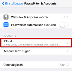 Passwörter & Accounts. iCloud hervorgehoben