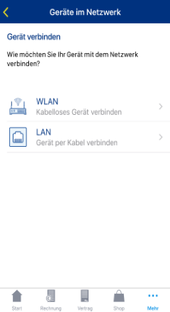 Geräte mit dem Heimnetzwerk verbinden - WLAN oder LAN.