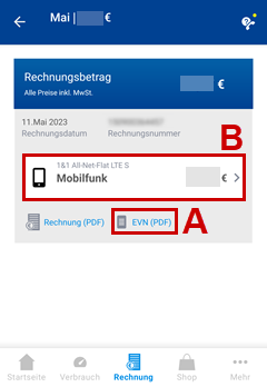 Übersichtsseite der Rechnung mit Betrag und Download des EVN