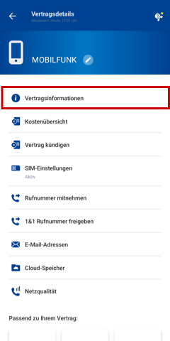Vertragsdetails, Menü für Vertragsinformationen hervorgehoben