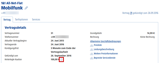 Hinterlegte Kaution in den Vertragsdetails einsehen.