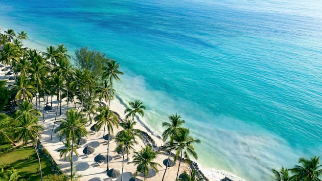 Ilmakuva palmujen reunustamasta rannasta Sansibarissa