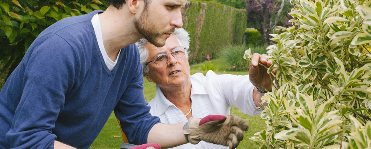 les bénéfices du jardinage chez les seniors aide à domicile ouihelp