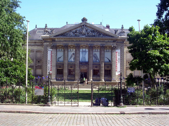 Museum Histoire Naturelle Nantes