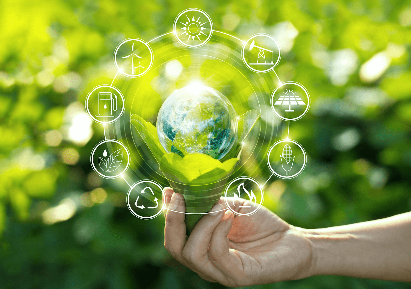 Hand holding leaves with a marble in the top surrounded by circles with interpretations of renewable energy sources within them