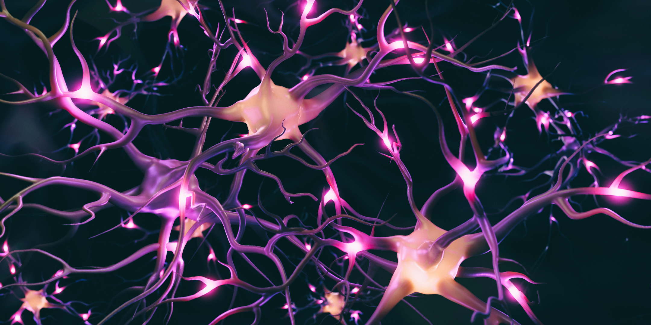 3d rendered image of neuron cell system