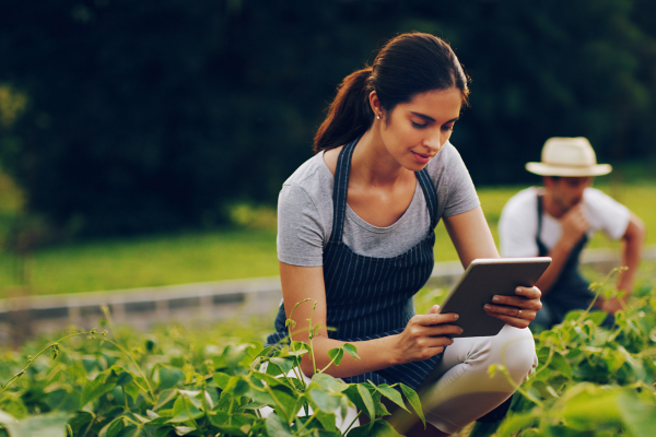 Young woman using digital tablet while working in a field