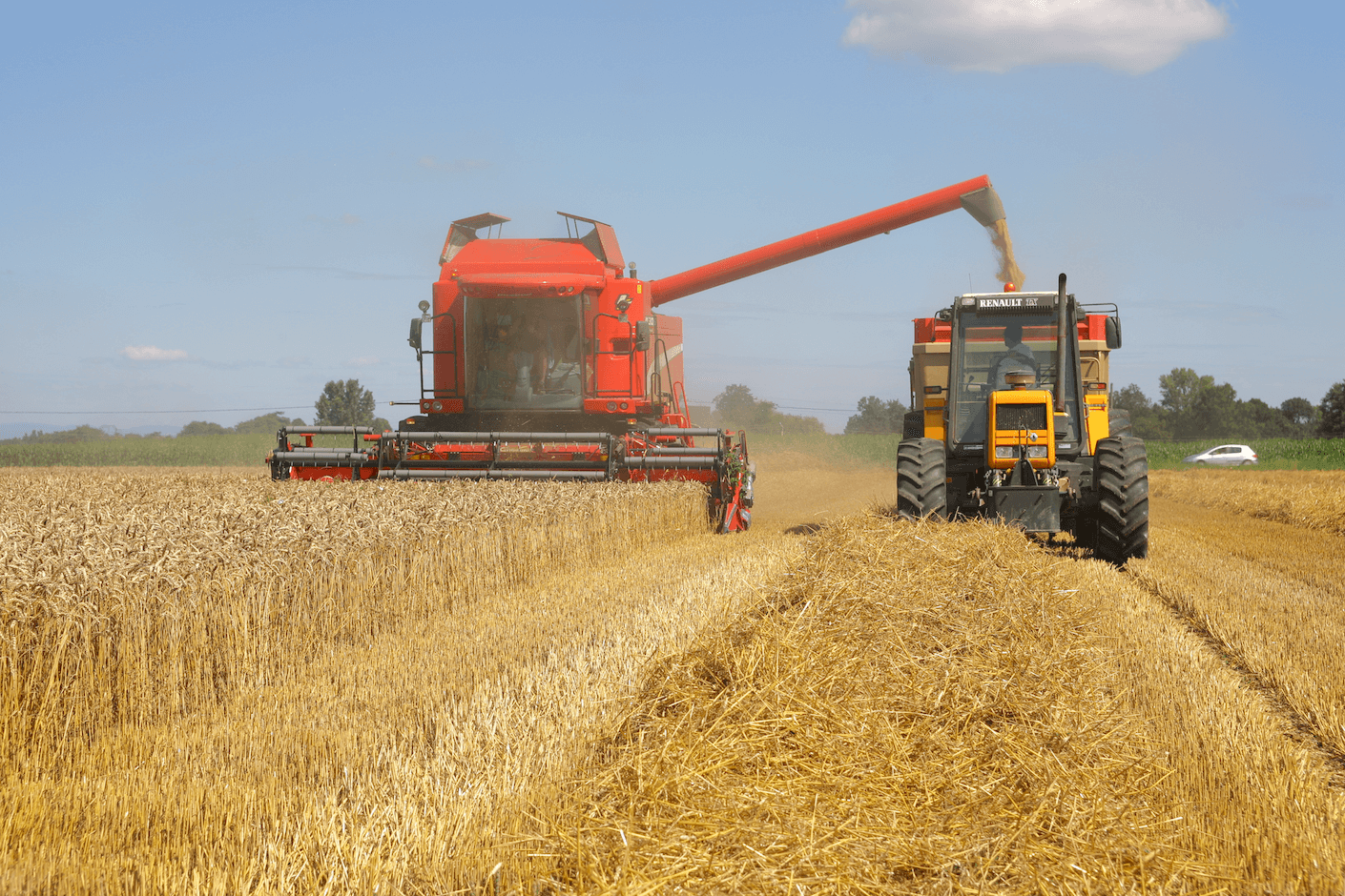 Combine harvester harvesting wheat whilst unloading it into a tractor