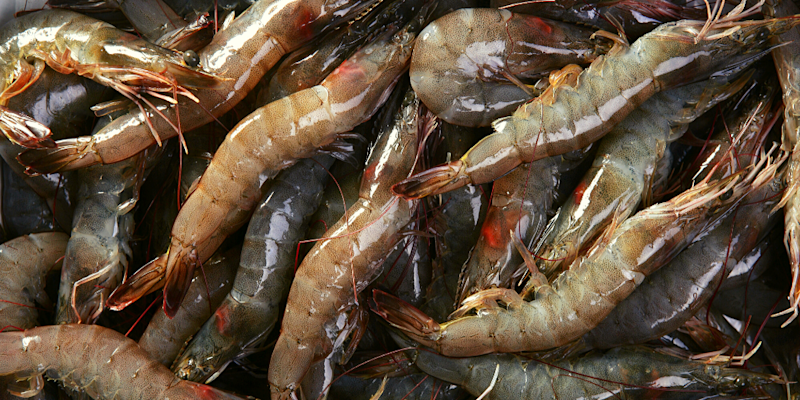 Understanding prawns: buying tips for chefs | Collectiv Food