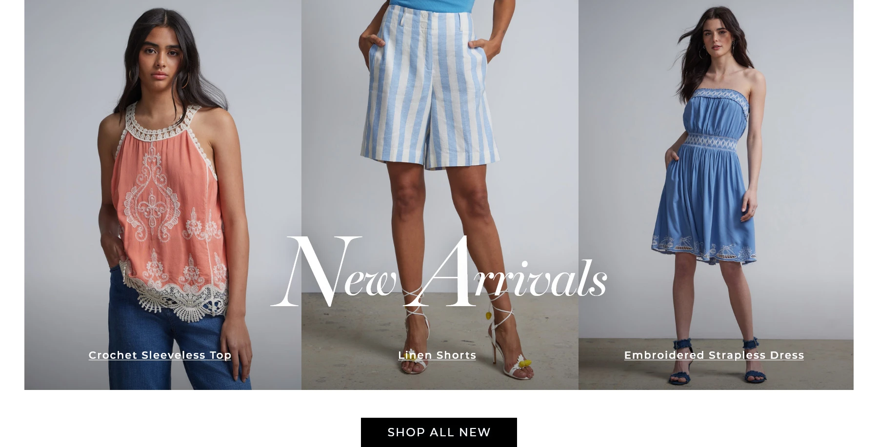 Women's Clothes and Accessories Shop at New York & Company New York