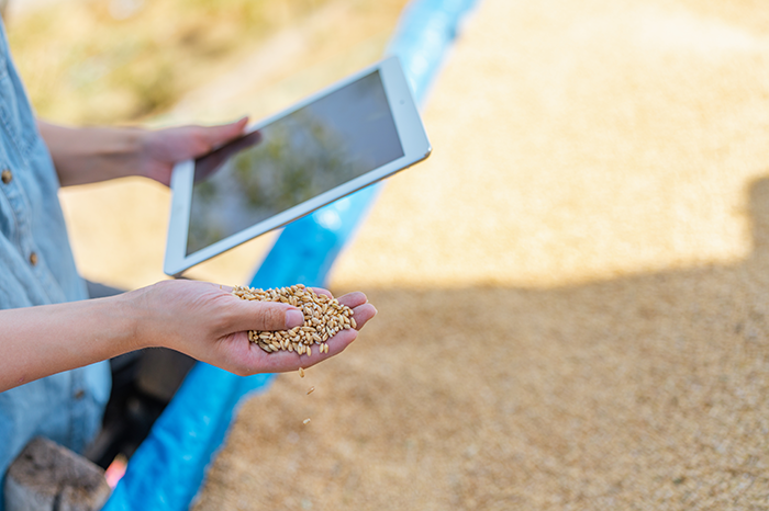 A person holds a tablet displaying agricultural payroll software