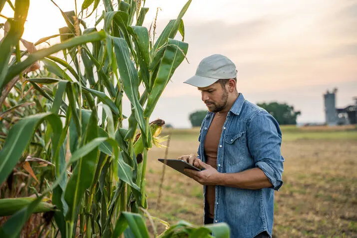 An agronomist in a corn field using a digital agronomy solution on a tablet.