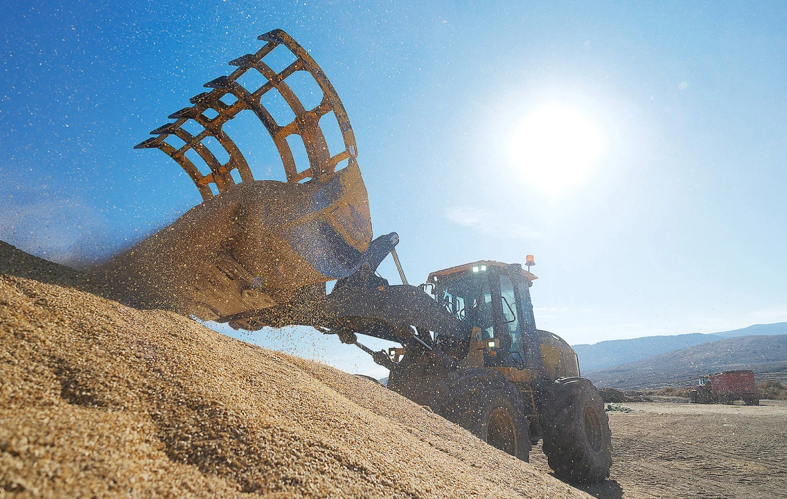 A bulldozer scoops grain into a big pile.