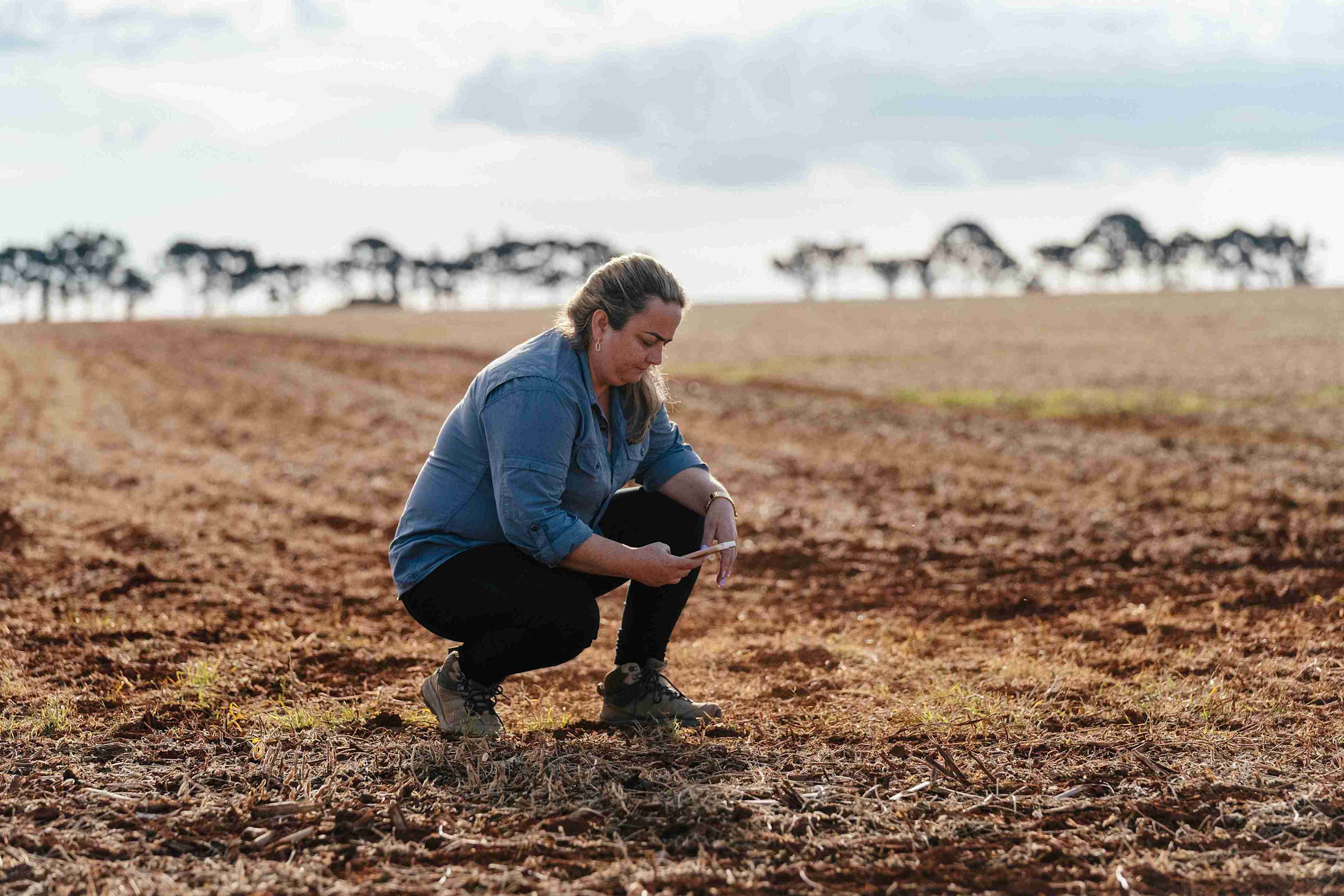 Agronomist in a field, holding a digital dashboard showing centralized crop planning and field data insights for US ag retailers