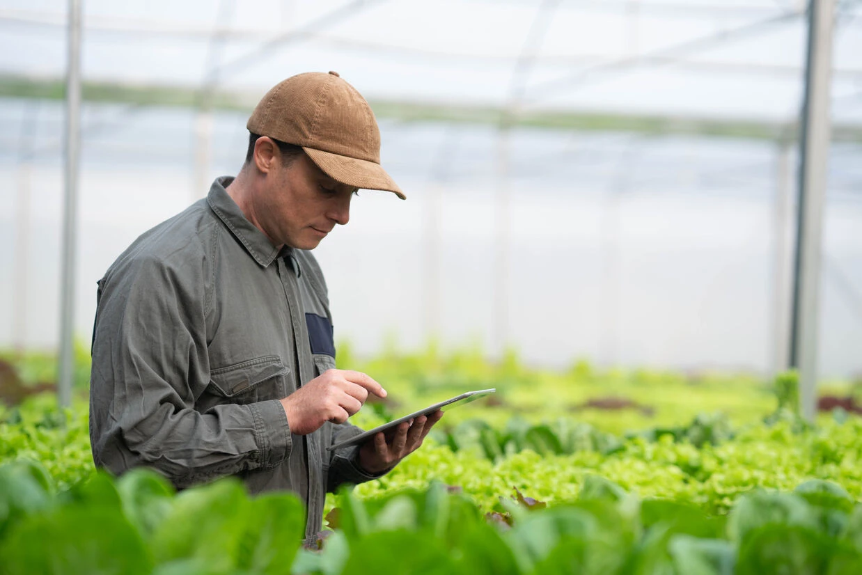 Man in a green hat using a tablet in a greenhouse, showcasing US food traceability software in action.