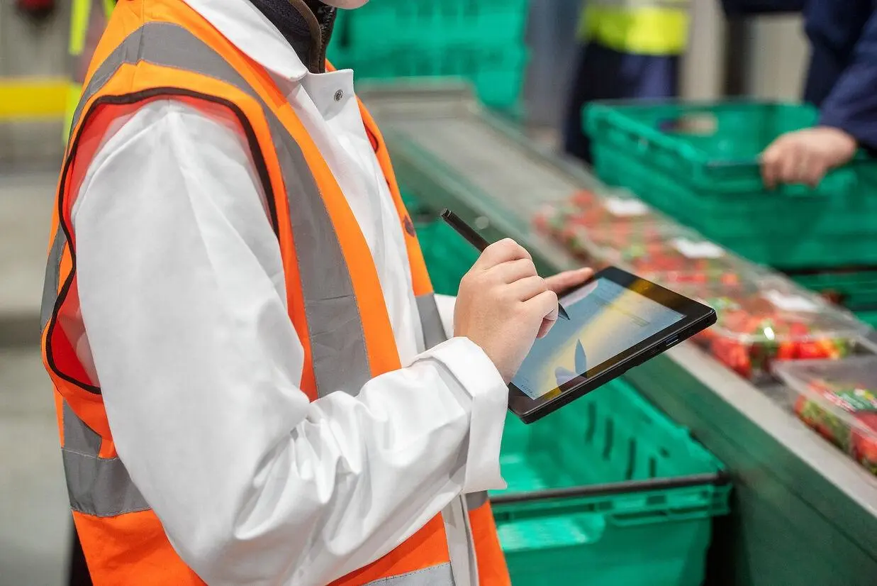 A person wearing an orange vest holds a tablet, overseeing quality control at a strawberry packing facility using UK food safety software.