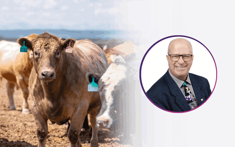 Dr. Georges Paradis | Professional Services Veterinarian