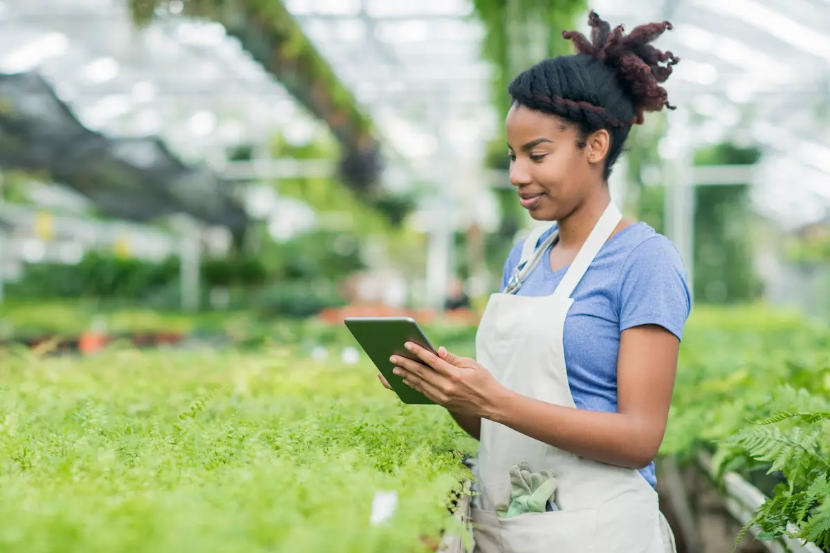 A woman uses a tablet to manage farm payroll software inside a greenhouse filled with plants.