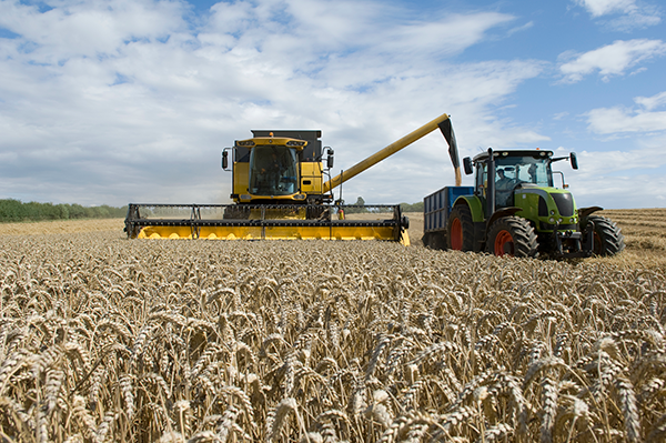 A combine harvester and tractor working together in a green field during the harvest season