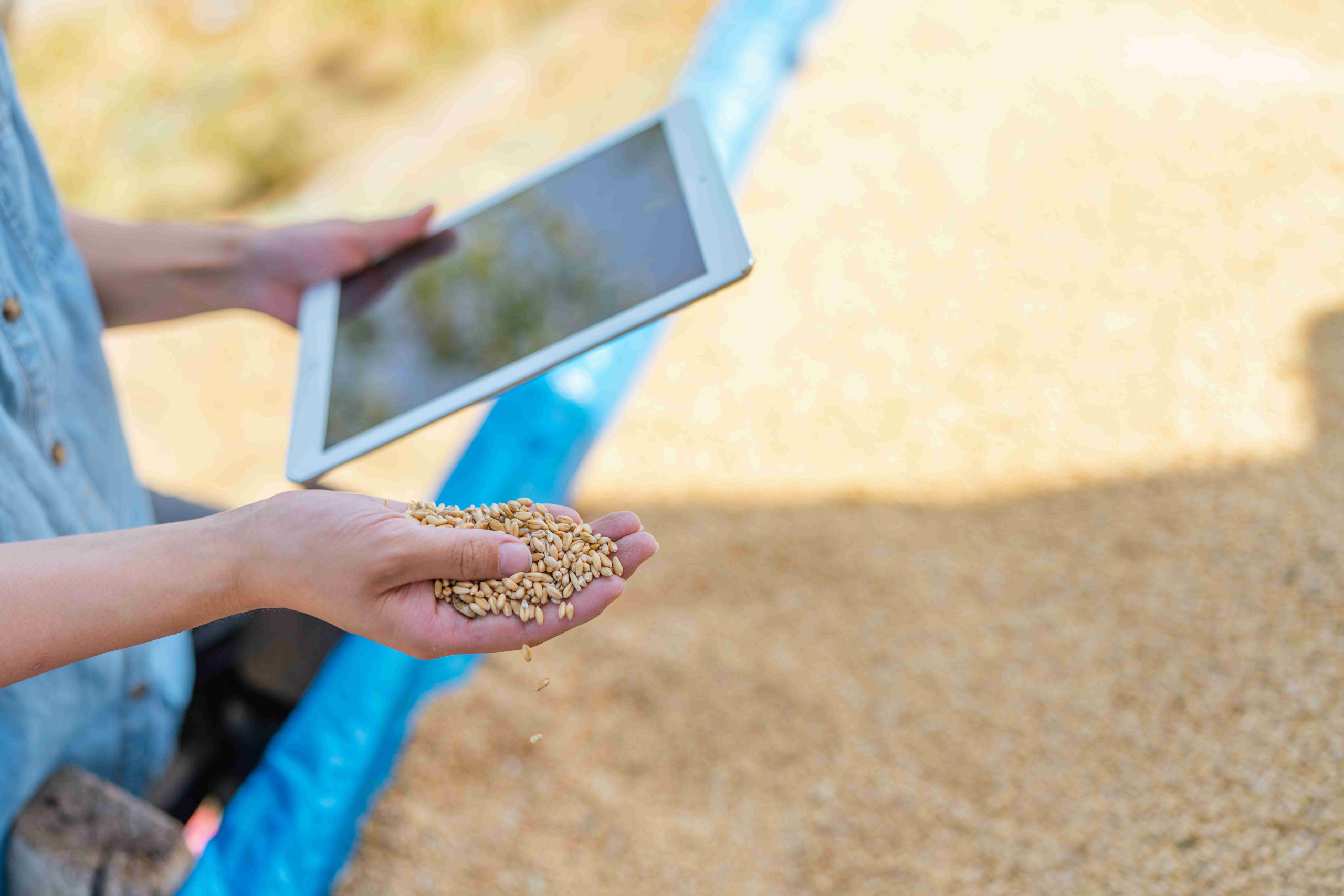 A person examines a tablet with farm accounting information.
