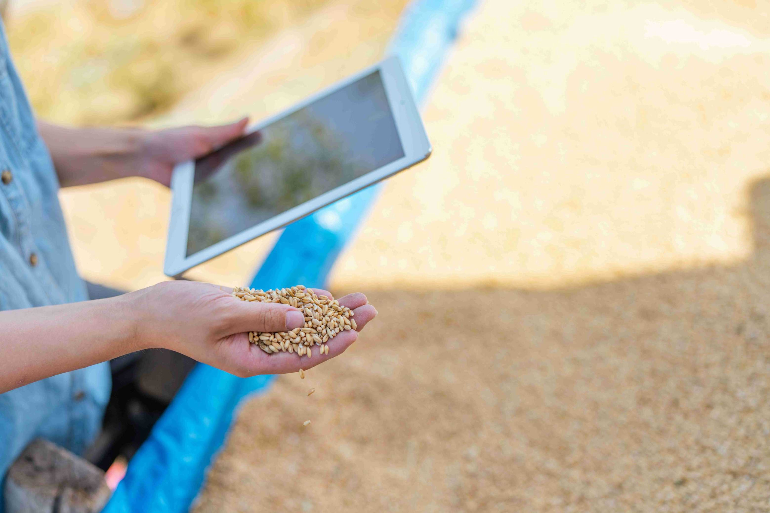 A person examines a tablet with farm accounting information. 